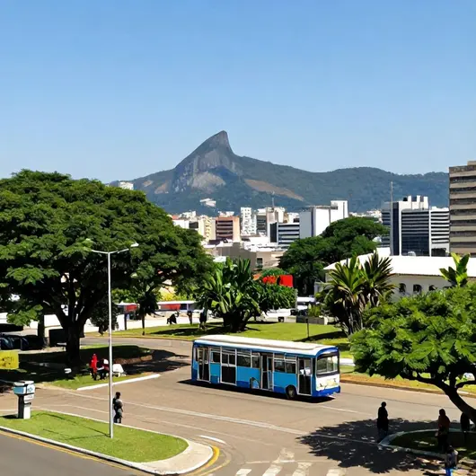 Como Garantir um Transporte Acessível em Vitória: Dicas Práticas