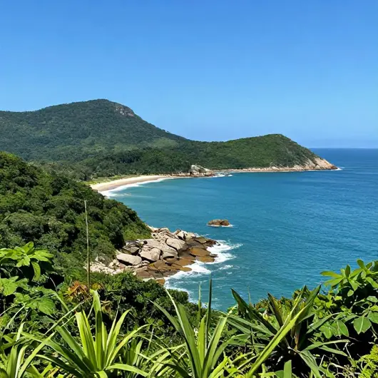 Descubra a Ilha da Queimada Grande