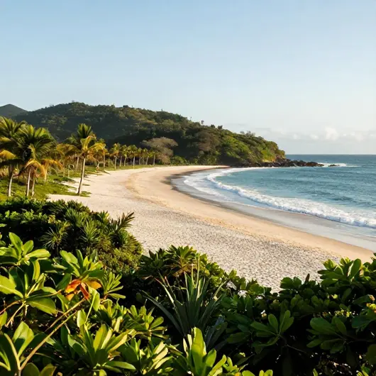 Descubra a Ilha do Cabaçal