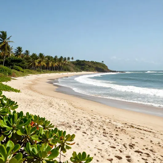 Descubra a Praia do Guaraú