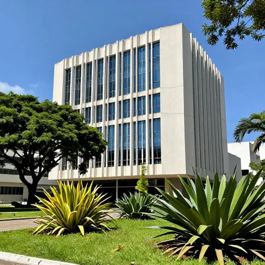 Descubra a Secretaria de Cultura de Vitória
