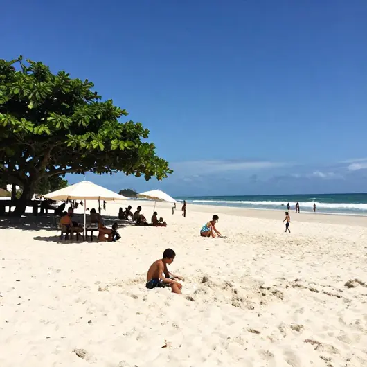 Descubra as Melhores Praias para Famílias em Vitória - ES