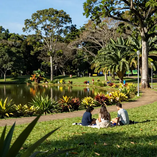 Descubra o Parque Von Schilgen em Vitória - ES: Um Refúgio Natural