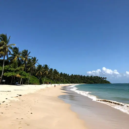 Mar e Forma Beach: Um Paraíso à Beira-Mar