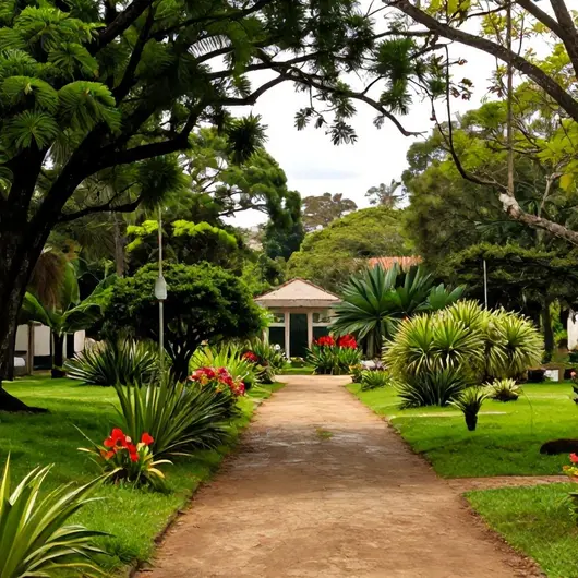 Quinta dos Manacás: Uma Experiência Única em Naturaleza Quinta dos Manacás: Uma Experiência Única em Naturaleza