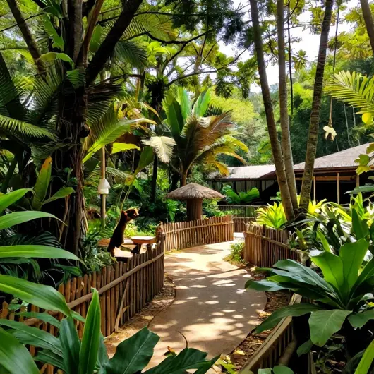 Zoo Park da Montanha: Um Refúgio de Natureza e Aventura